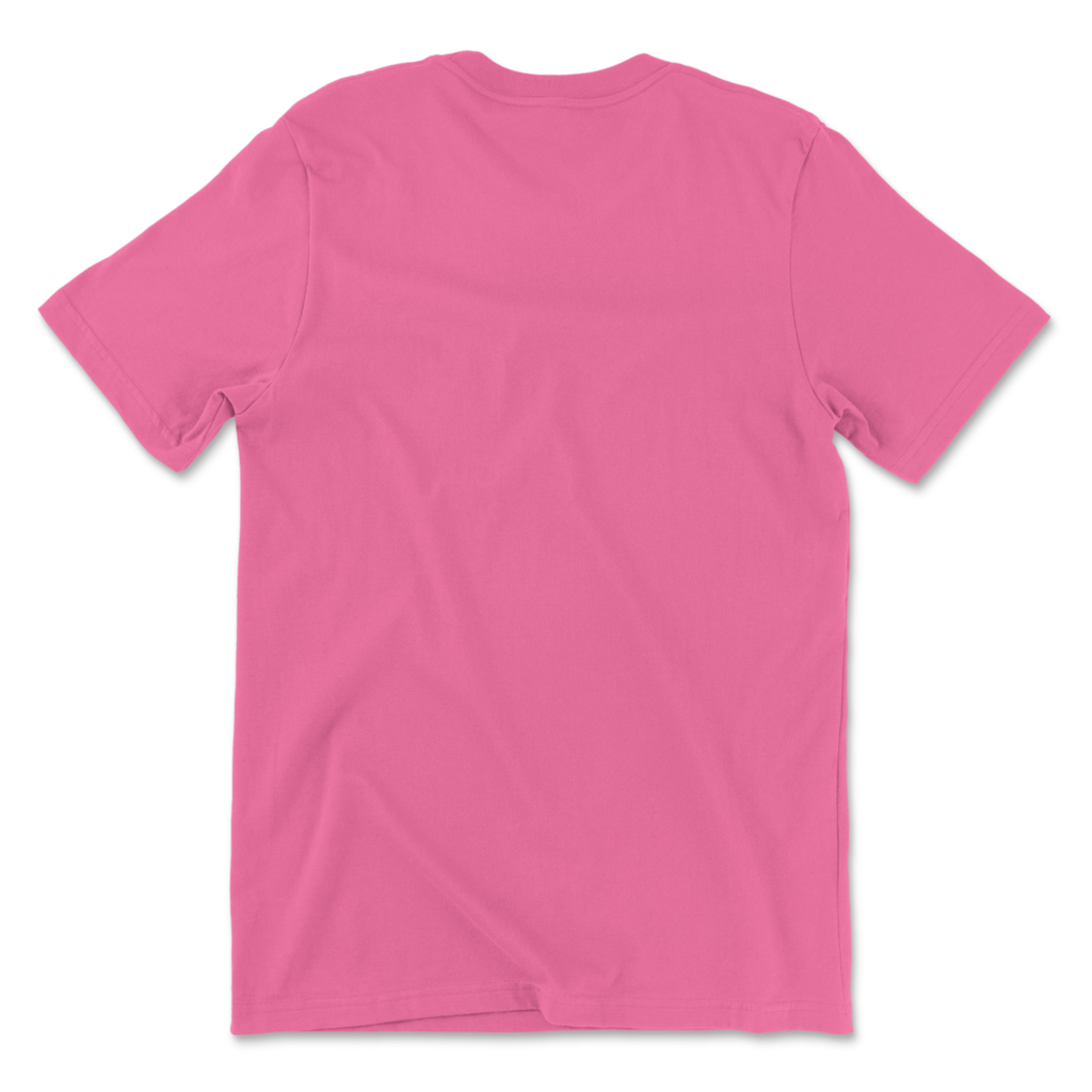Lay flat pink LGBTQ+ pride t-shirt showing the plain back of shirt.